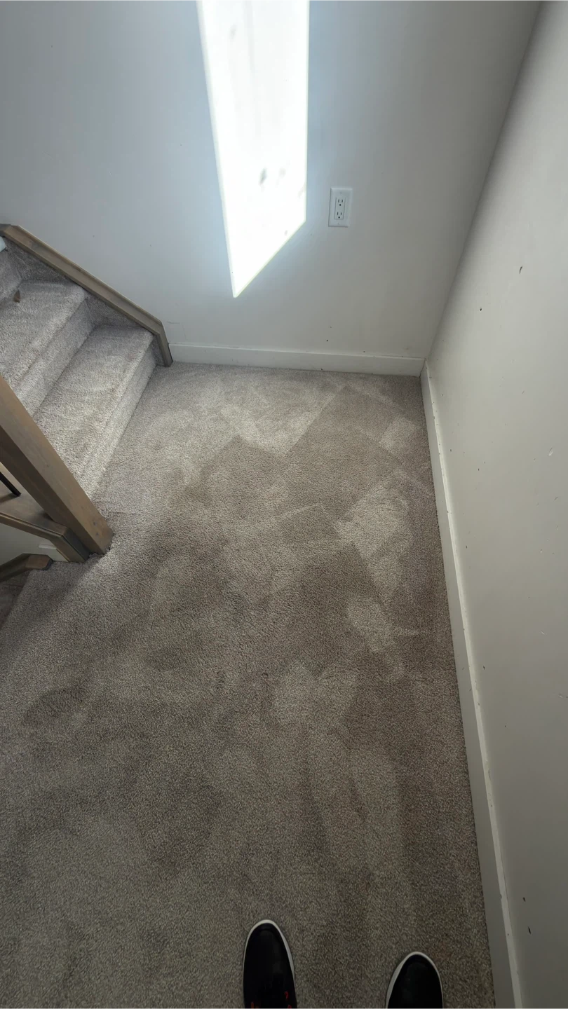 Carpet Cleaning Service - photo 4