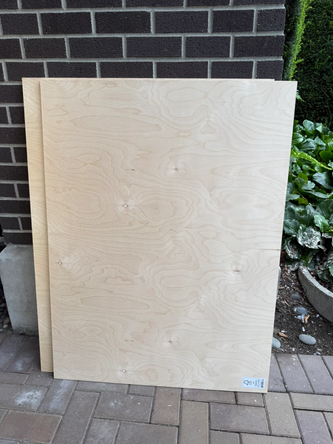 Two FSC Certified Birch Plywood Sheets 3 x 4 ft