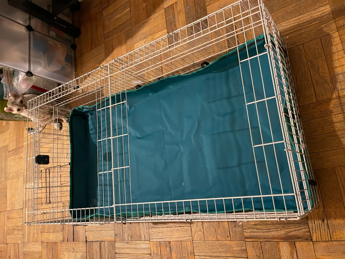 Guinea Pig Cage (47” x 24”) - photo 2