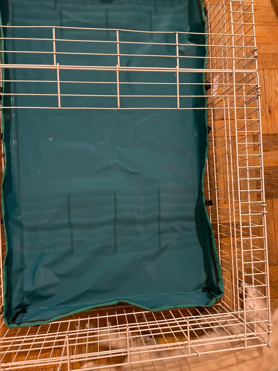 Guinea Pig Cage (47” x 24”) - photo 4