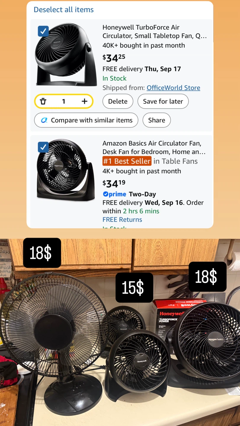 Table Fans - Honeywell and Amazon Basics