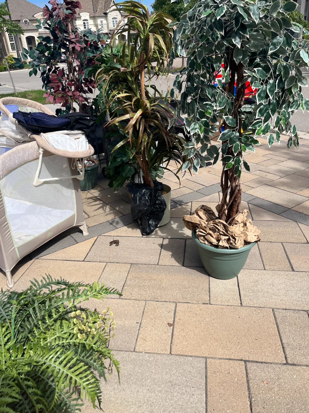 Artificial Ficus Tree in Pot