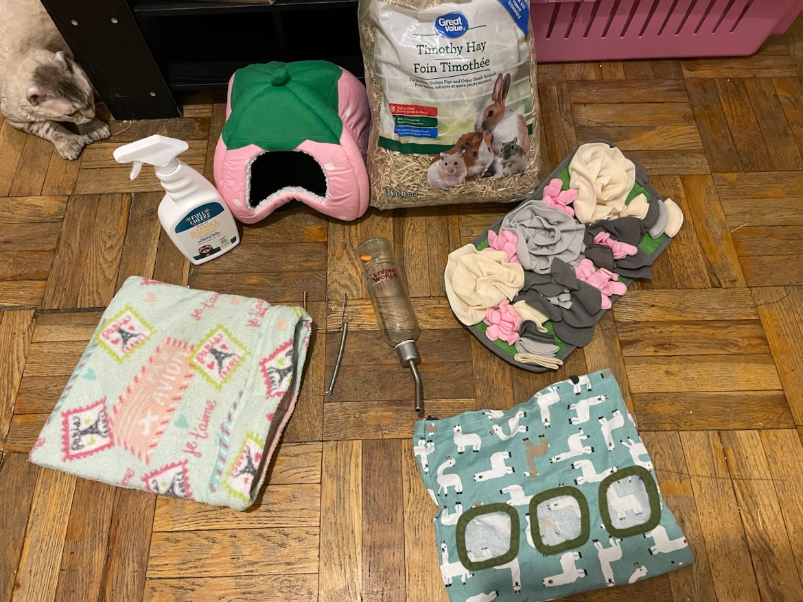 Guinea Pig Accessories Lot