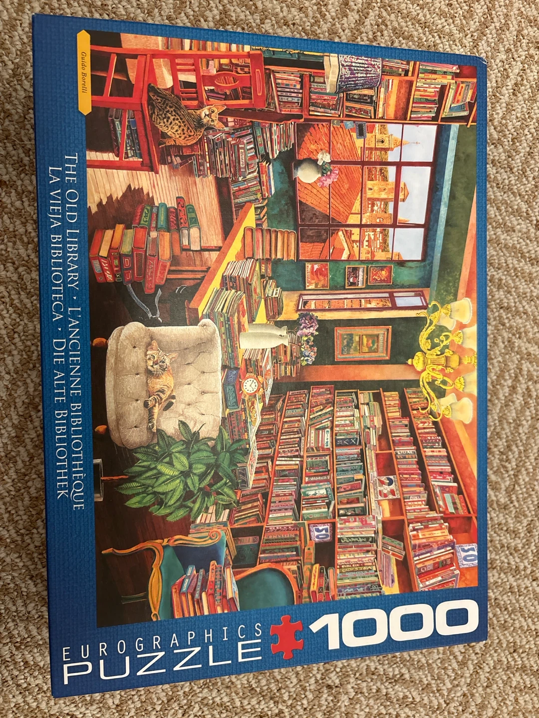 EuroGraphics 1000 Piece The Old Library Puzzle