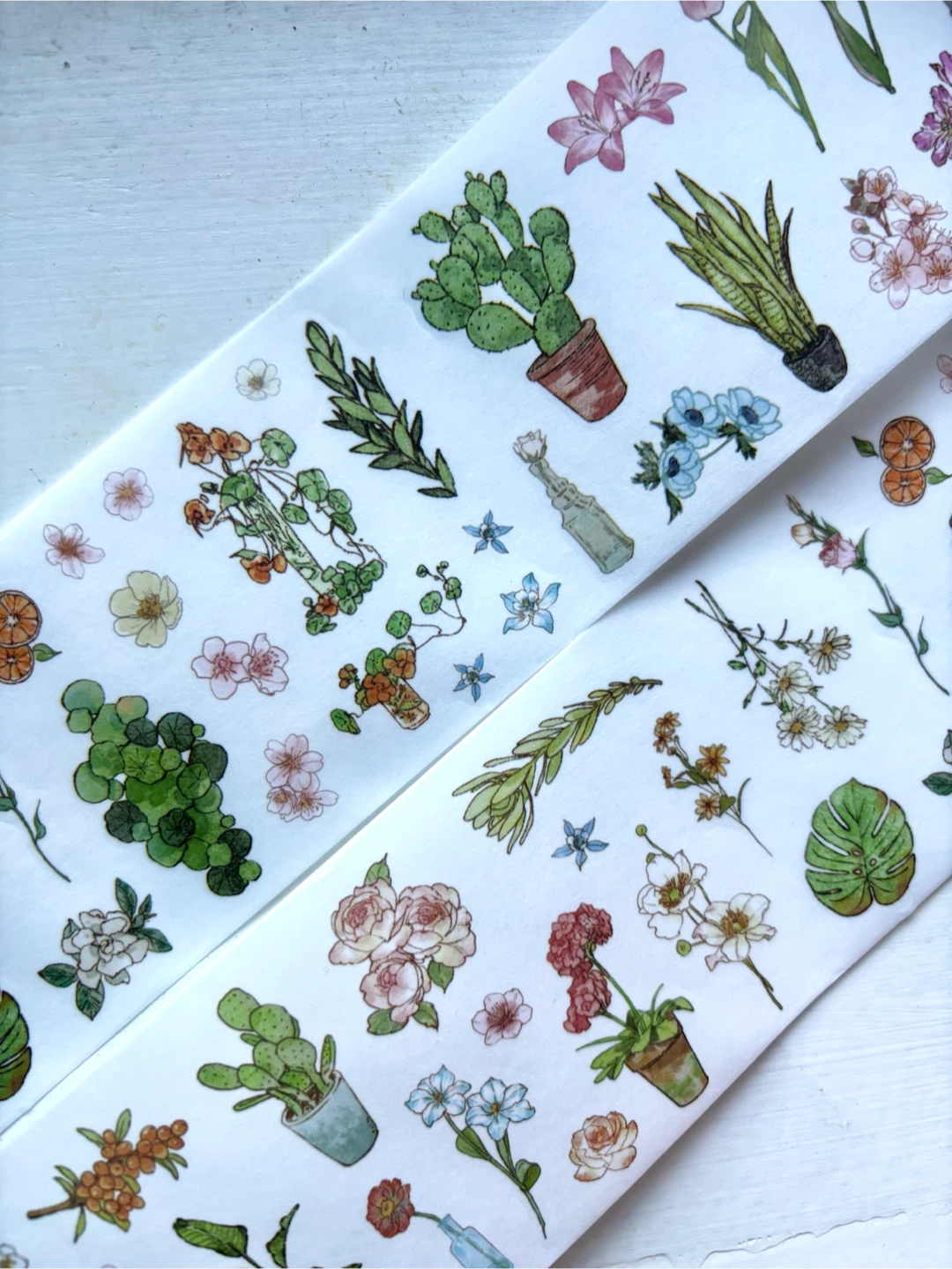 Plant Stickers - PET Tape