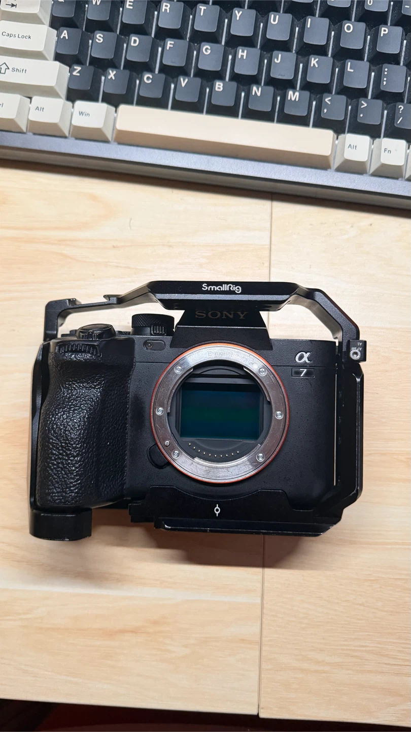 Sony Alpha a7 IV with small rig cage
