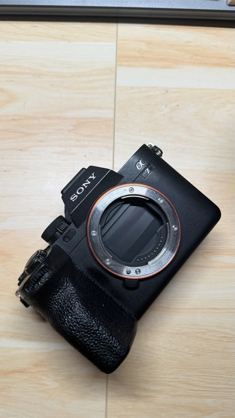 Sony Alpha a7 IV with small rig cage - photo 2