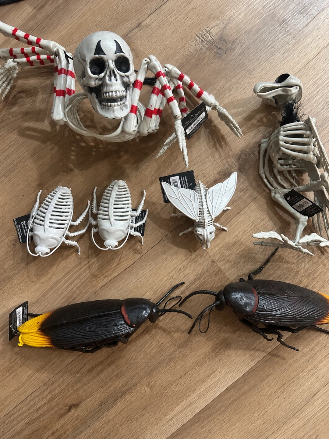 Halloween Skeleton & Creepy Bug Décor Bundle – $30