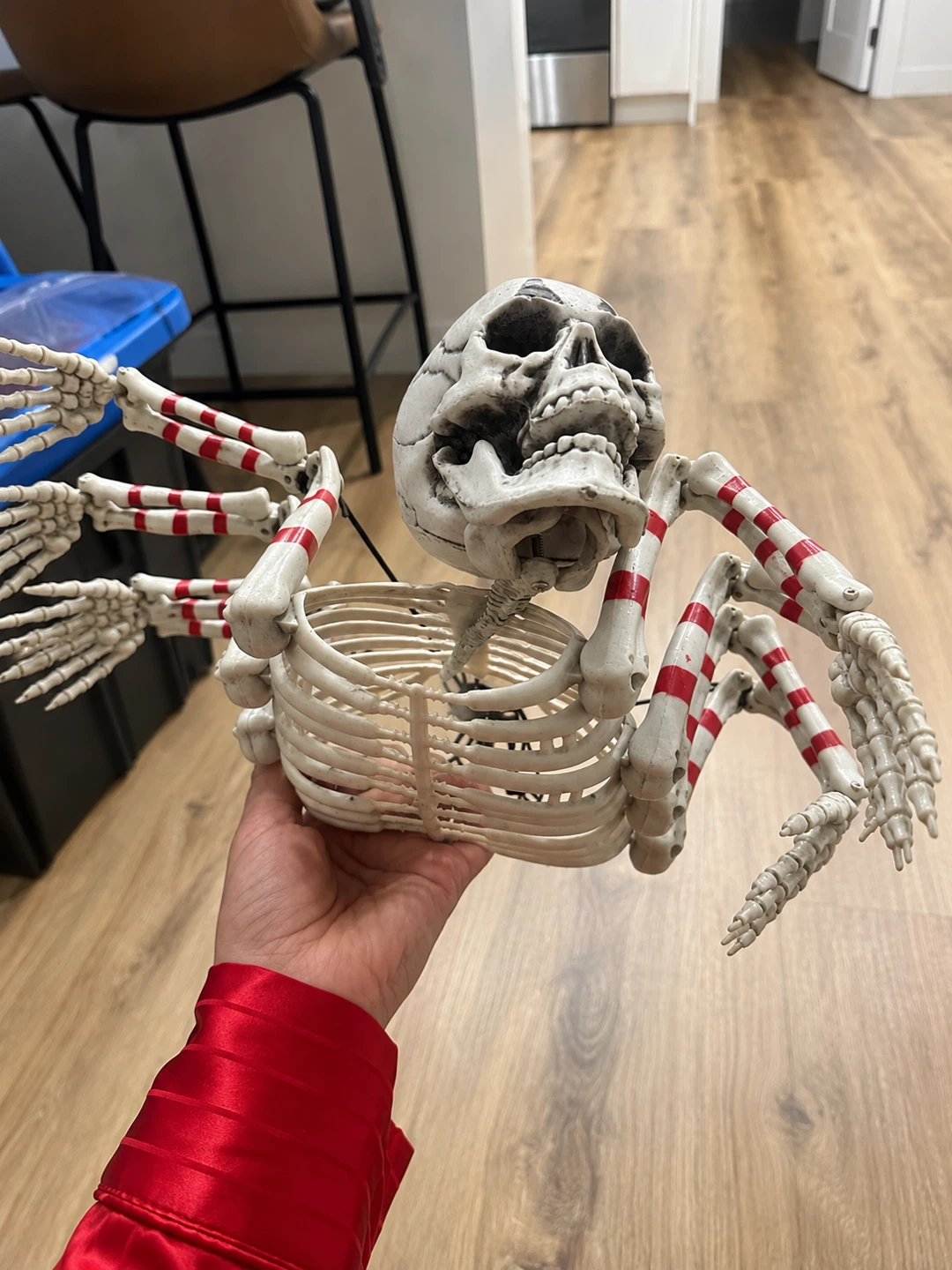 Halloween Skeleton & Creepy Bug Décor Bundle – $30 - photo 2