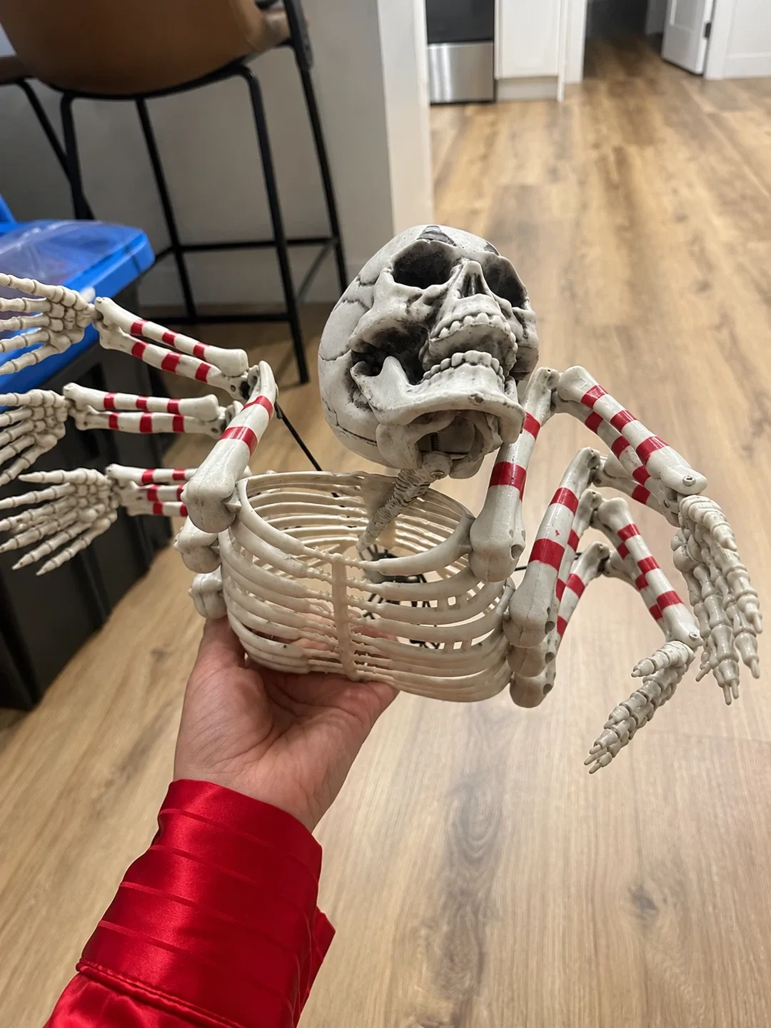 Halloween Skeleton & Creepy Bug Décor Bundle – $30 - photo 2