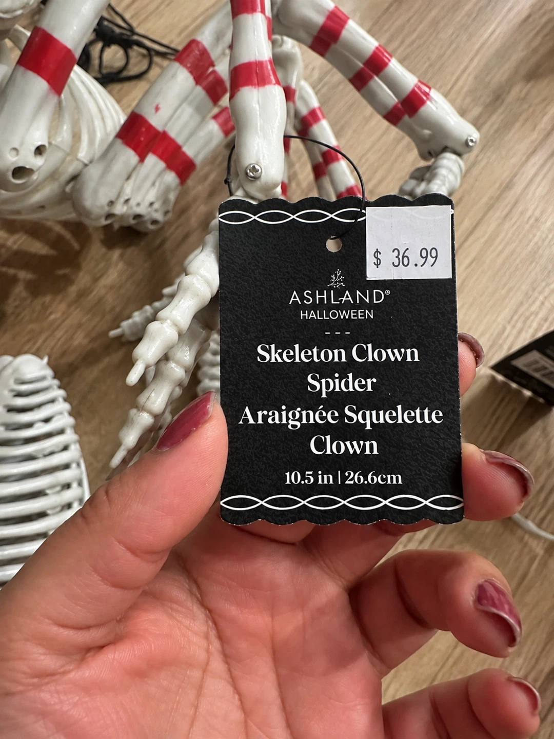 Halloween Skeleton & Creepy Bug Décor Bundle – $30 - photo 3