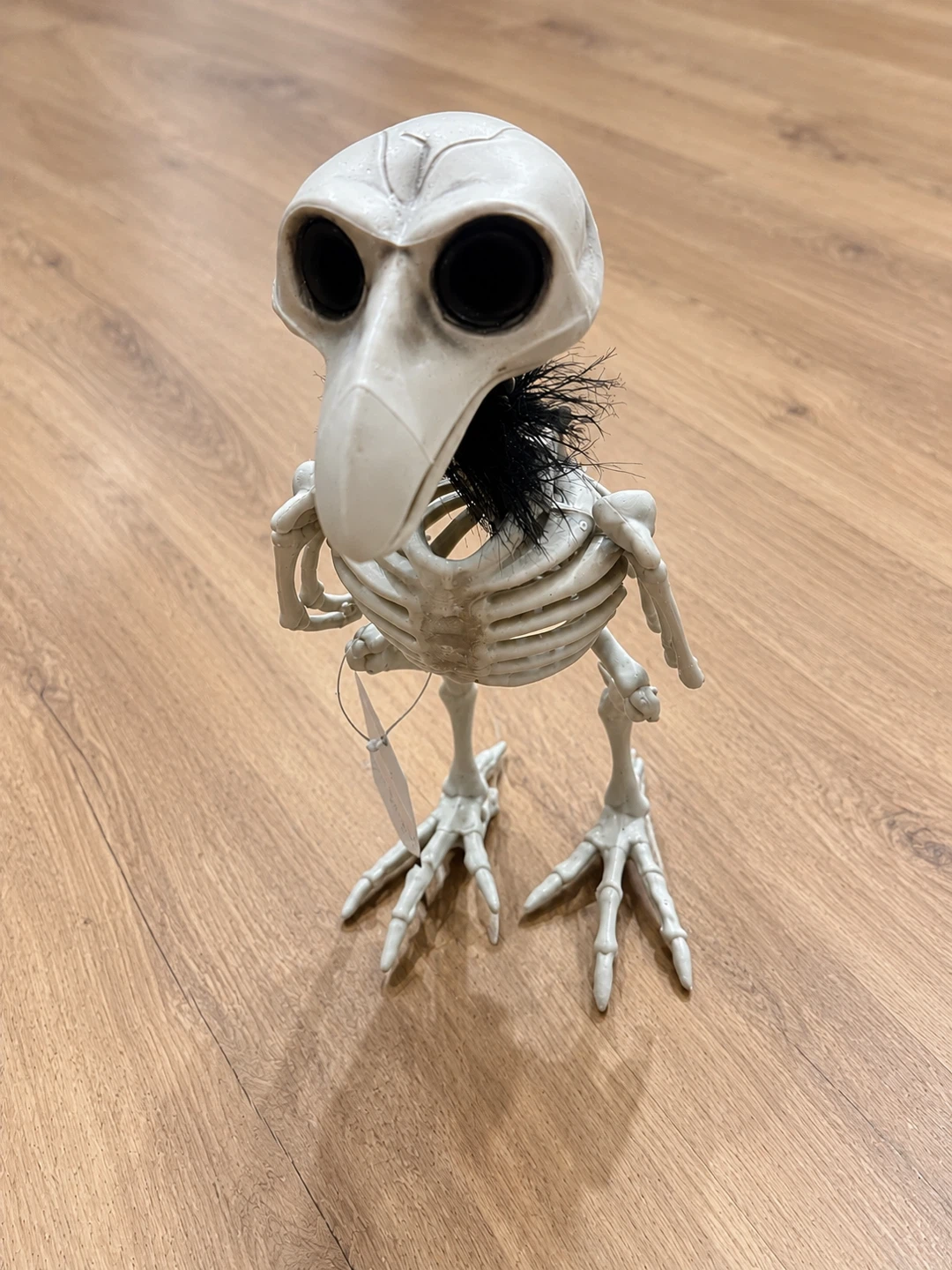Halloween Skeleton & Creepy Bug Décor Bundle – $30 - photo 4