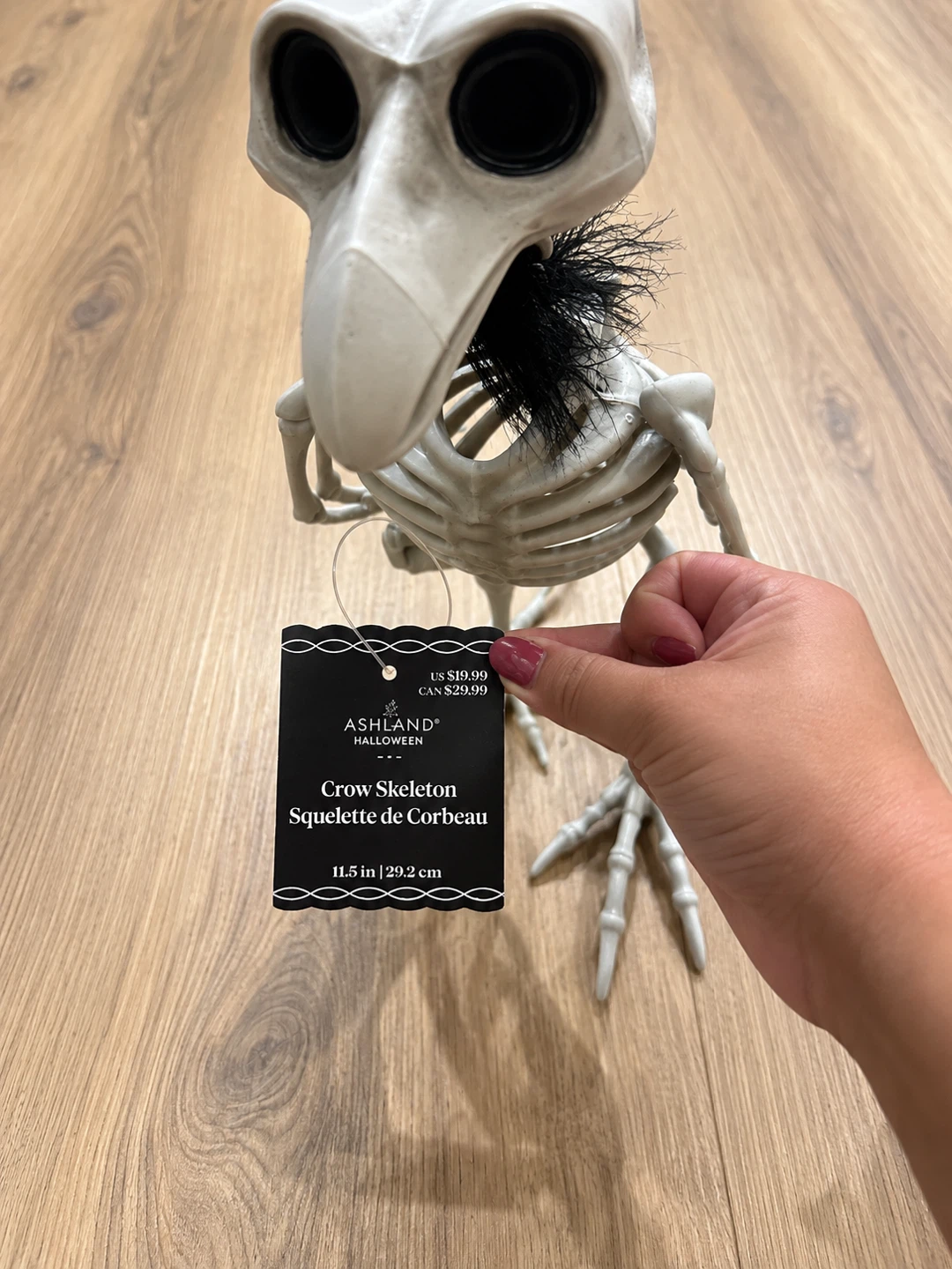 Halloween Skeleton & Creepy Bug Décor Bundle – $30 - photo 5