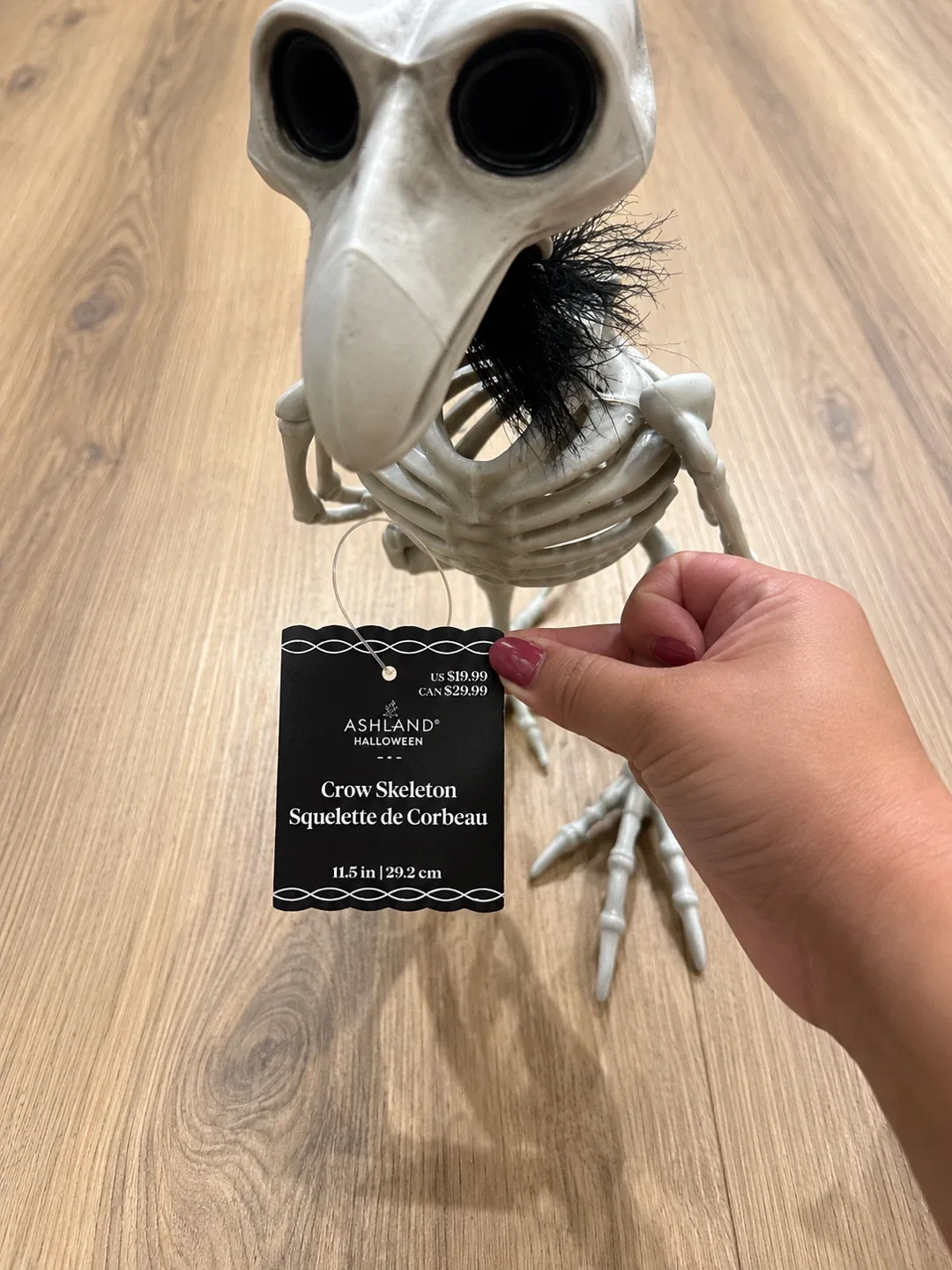 Halloween Skeleton & Creepy Bug Décor Bundle – $30 - photo 5