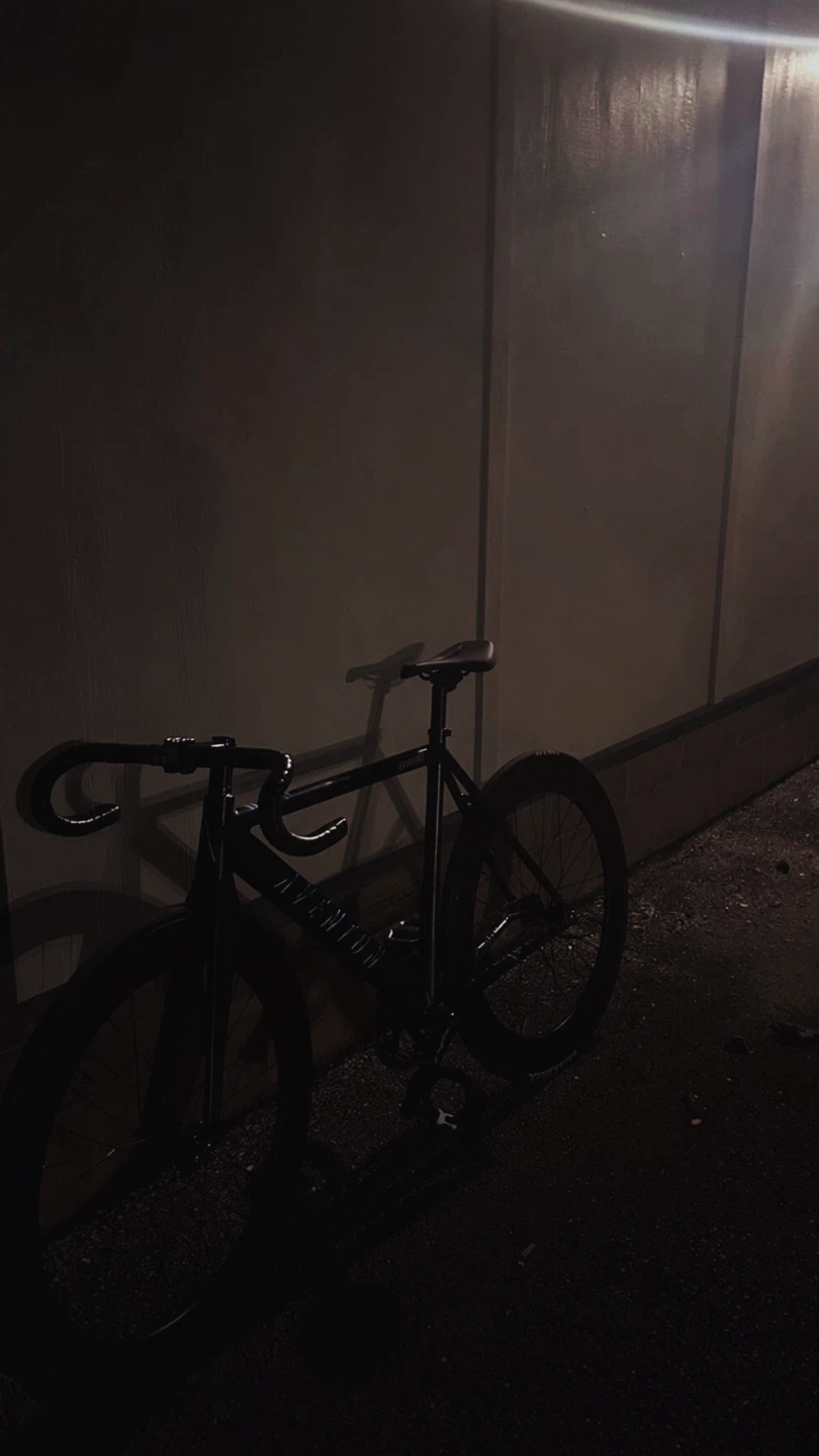 aventon frameset - photo 2