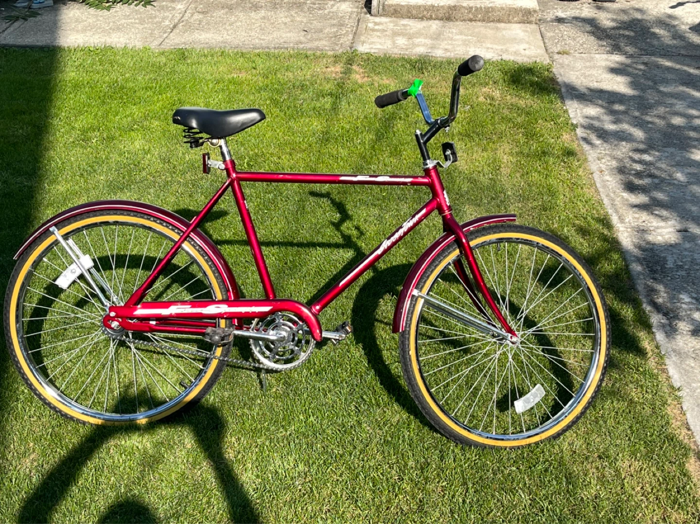 20 inch Free Spirit Cruiser