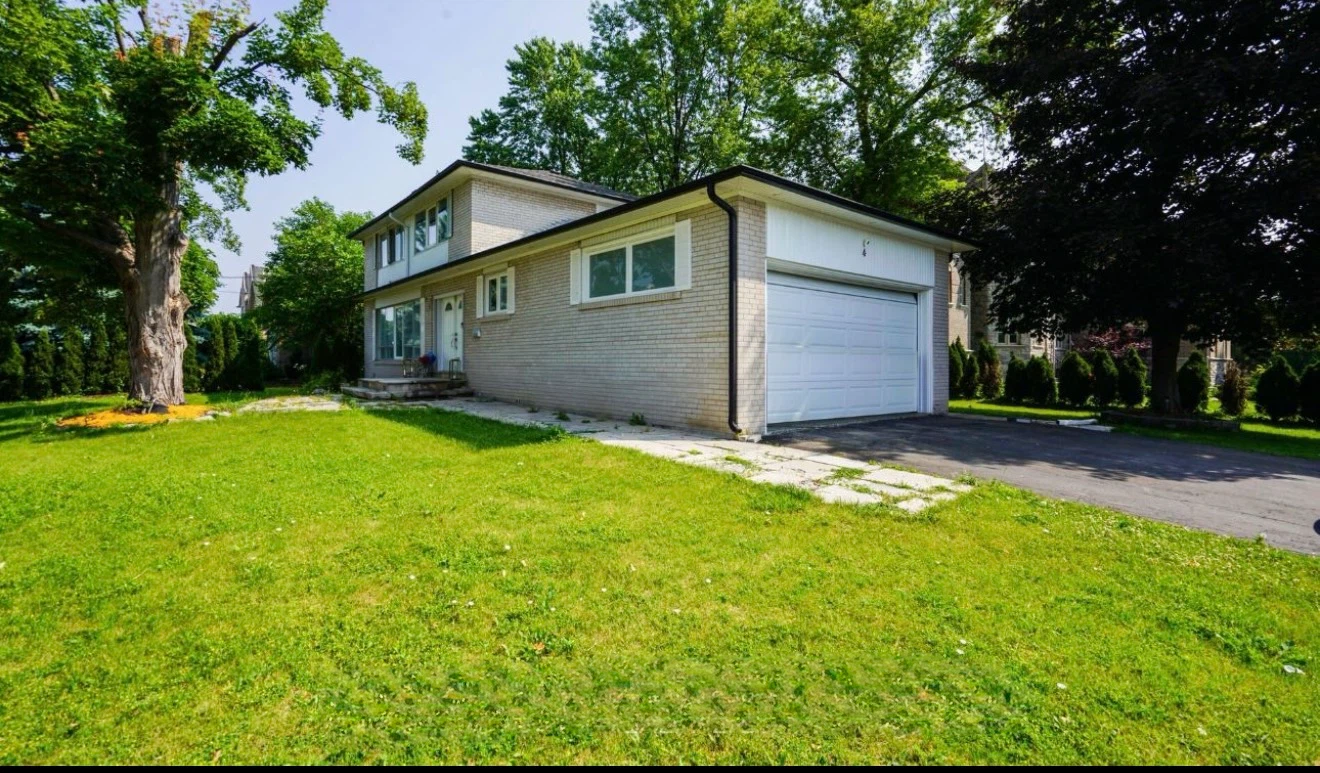 Rent basement ( new renovation)