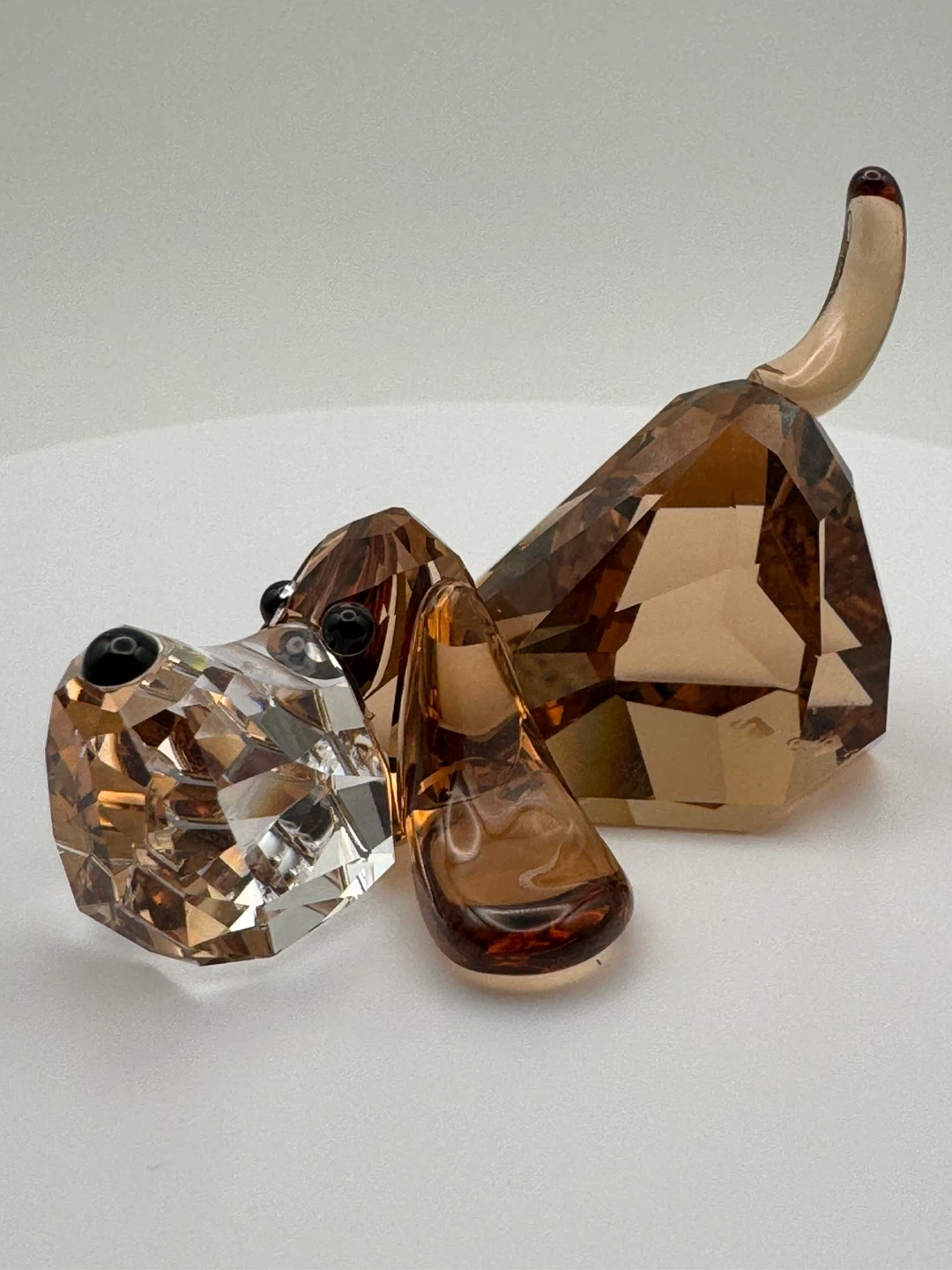 Swarovski The Gang of Dogs Peppino Figurine