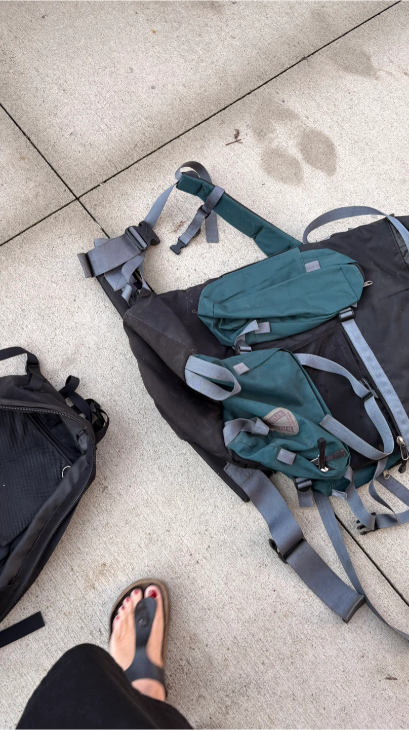 Wishbone Suspension System Backpack