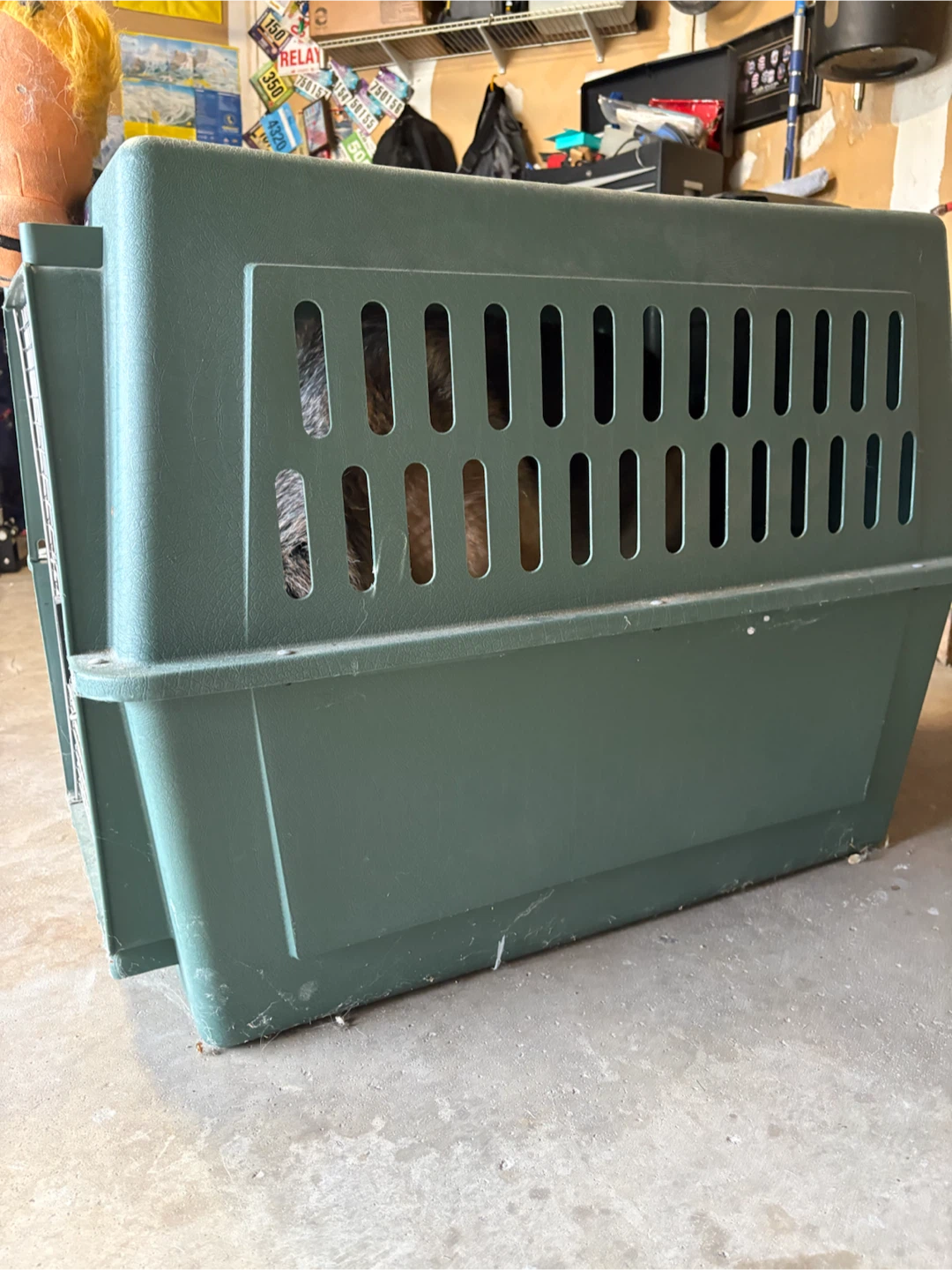 Petmate Large Dog Kennel - photo 2