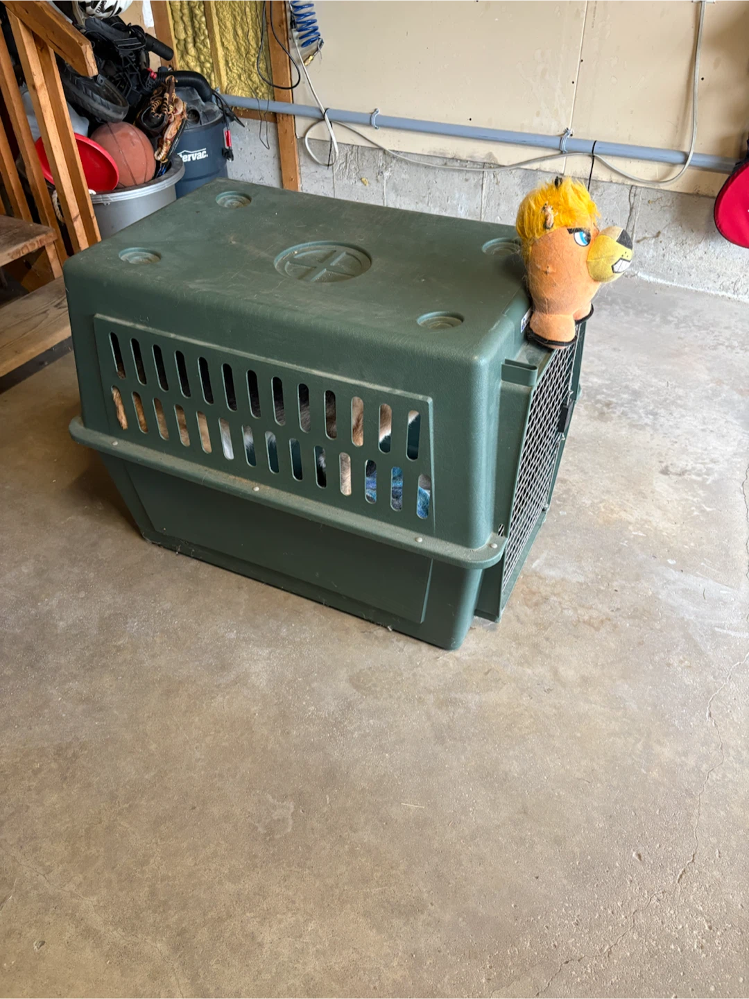 Petmate Large Dog Kennel - photo 3