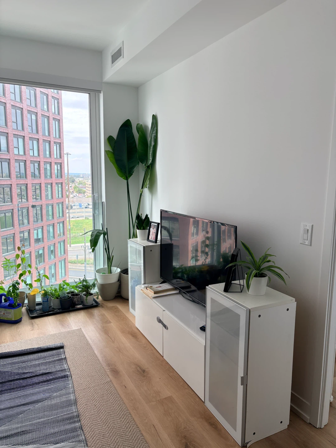 Condo for rent 1 bed 1 bath - photo 3