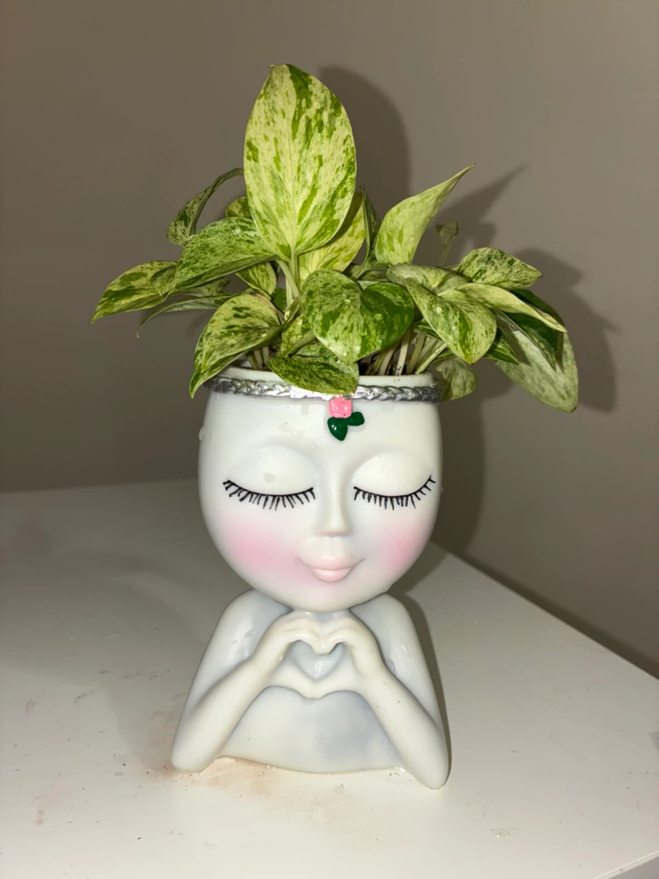 Snow Queen Pothos in Face Planter