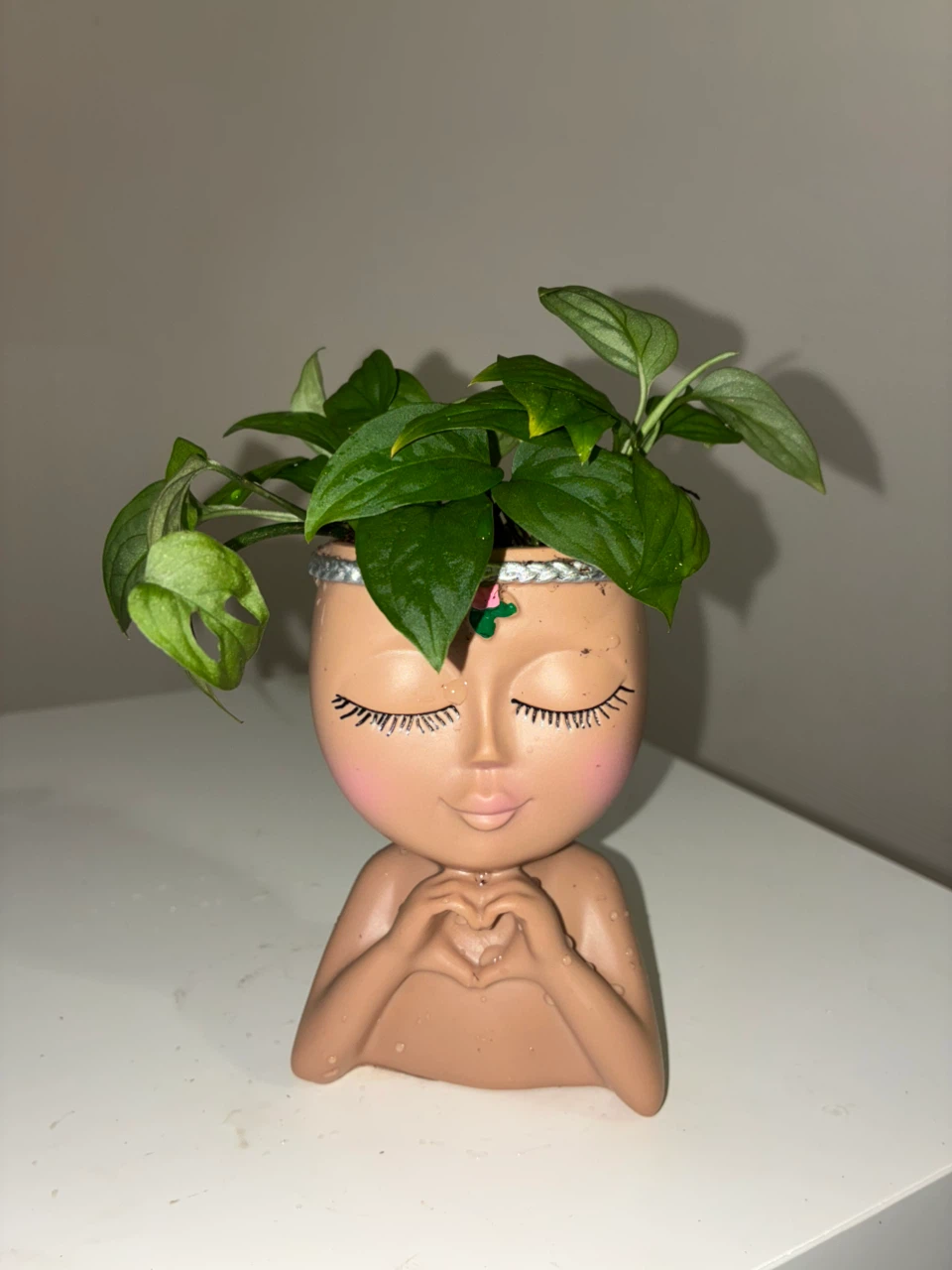 Face Shaped Planter with Monstera Adansonii