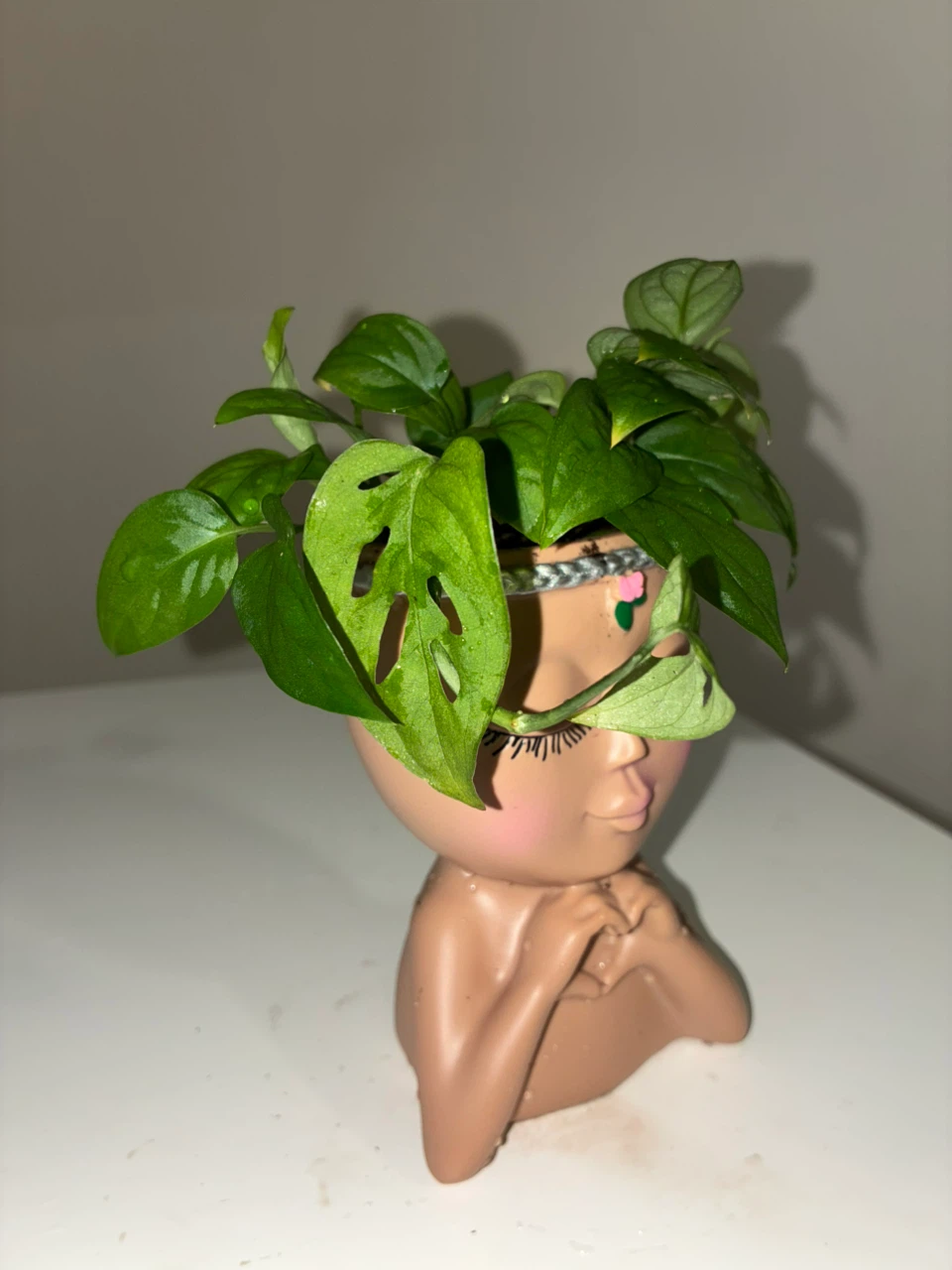 Face Shaped Planter with Monstera Adansonii - photo 2