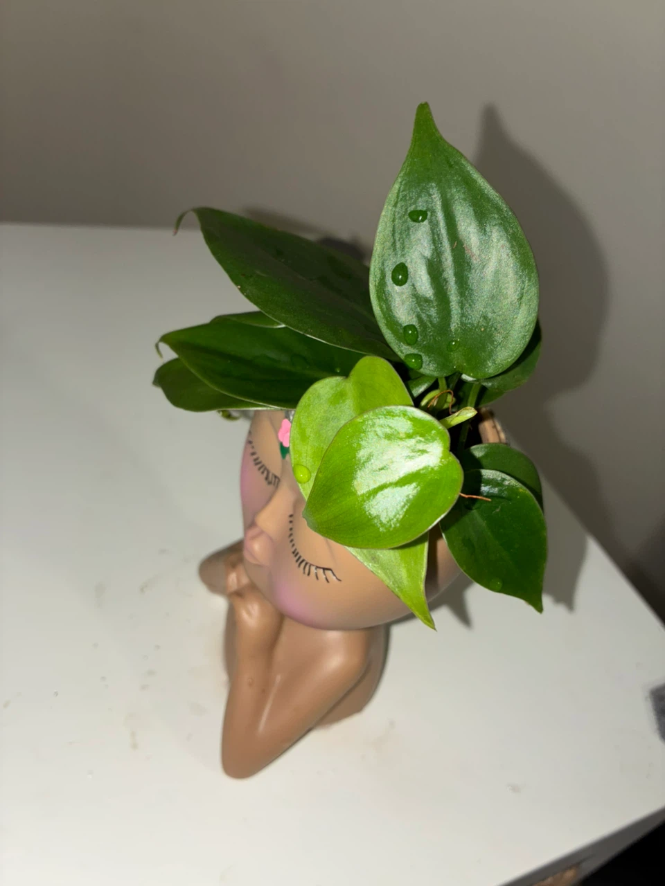 Face Planter Pot with Heart Hands - photo 2