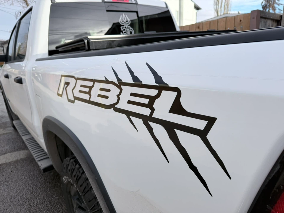 Custom Vinyl Decals for Vehicles and Trailers - photo 4