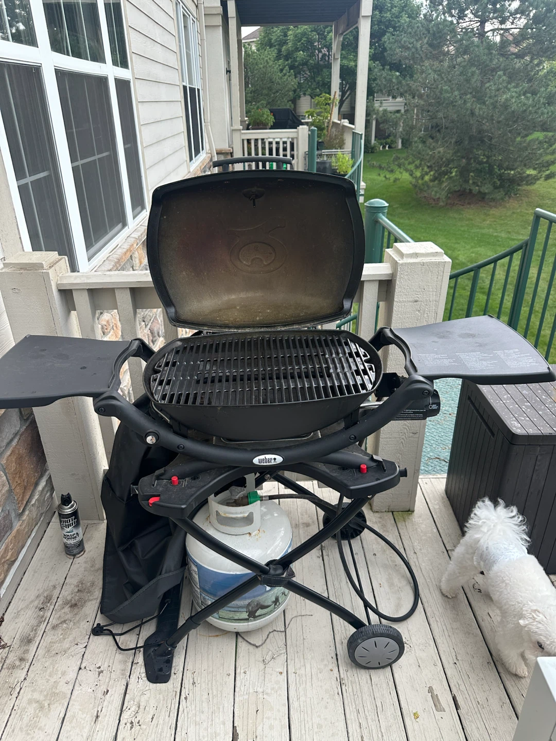 Weber Q Series Propane Grill