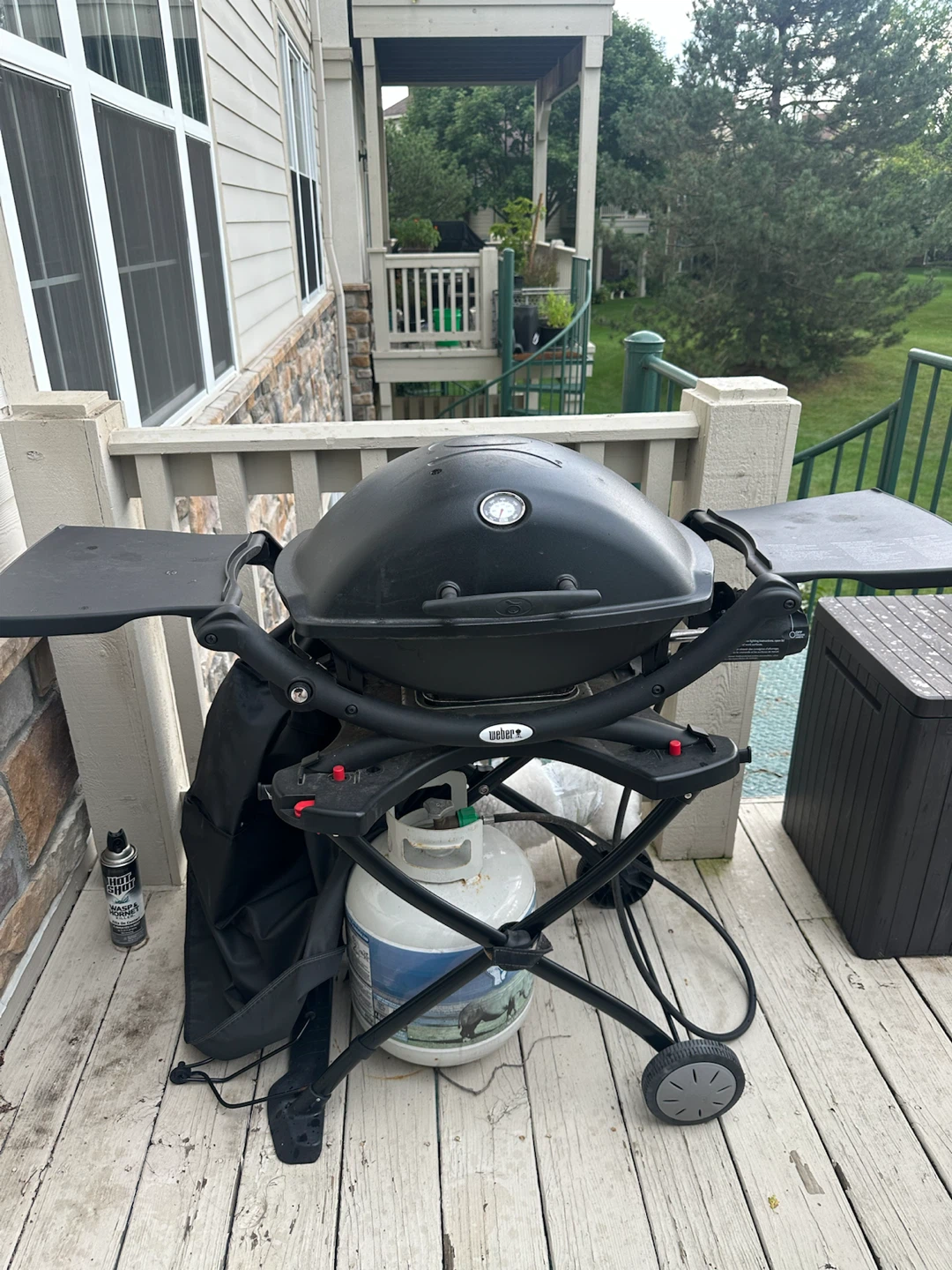 Weber Q Series Propane Grill - photo 2