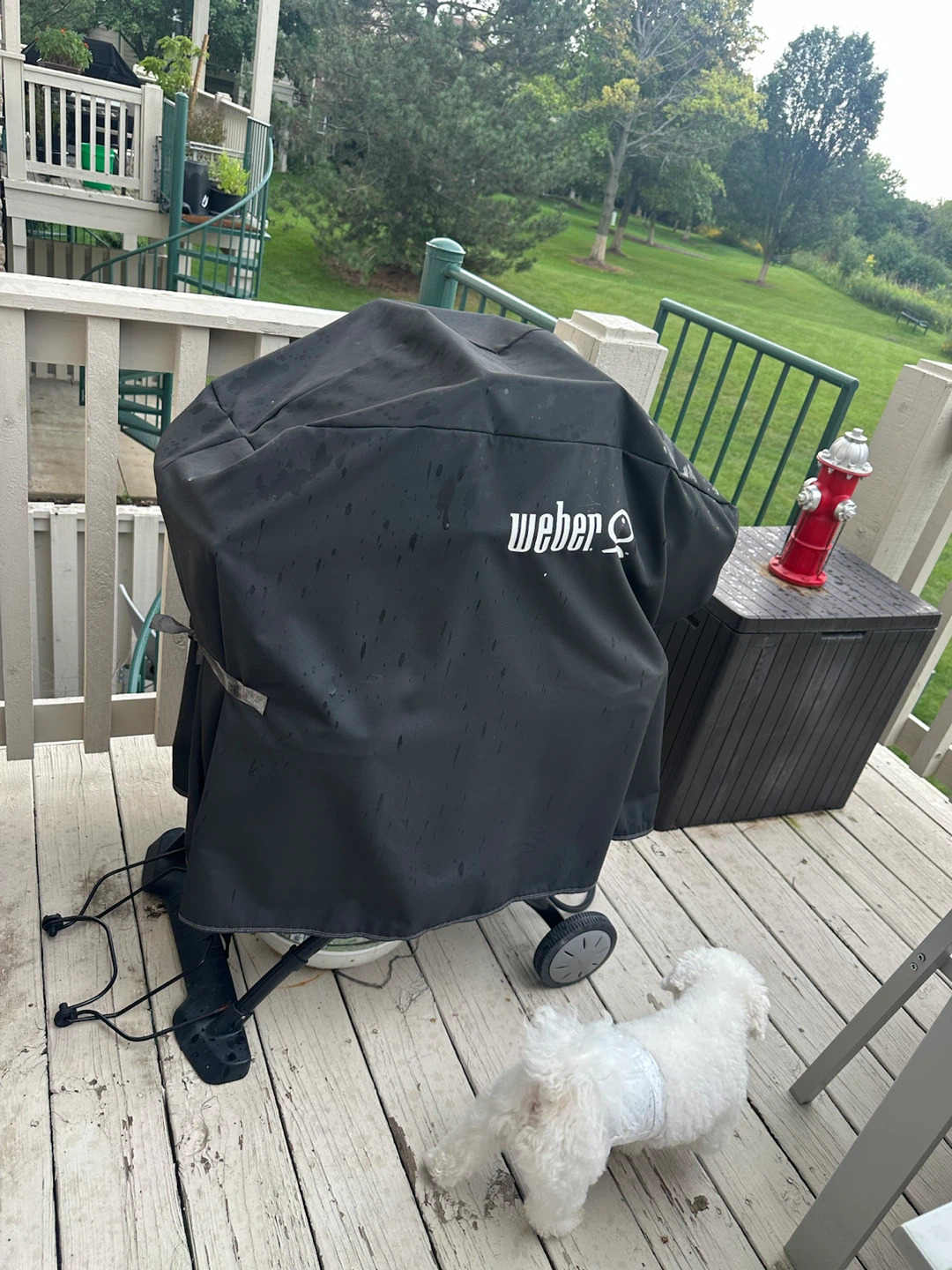 Weber Q Series Propane Grill - photo 3