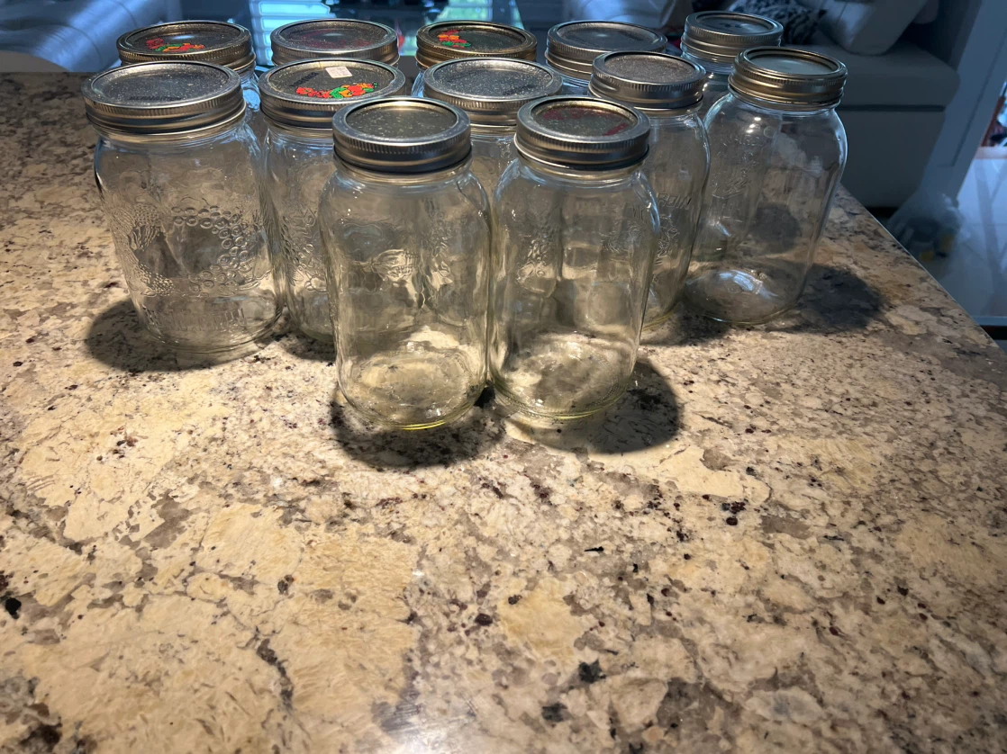 Set of 12 Mason Jars