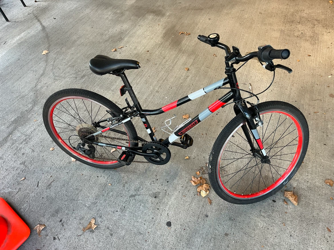 Guardian Kids Bicycle