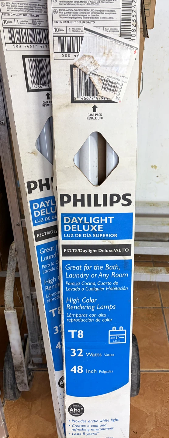 Bombillas day light