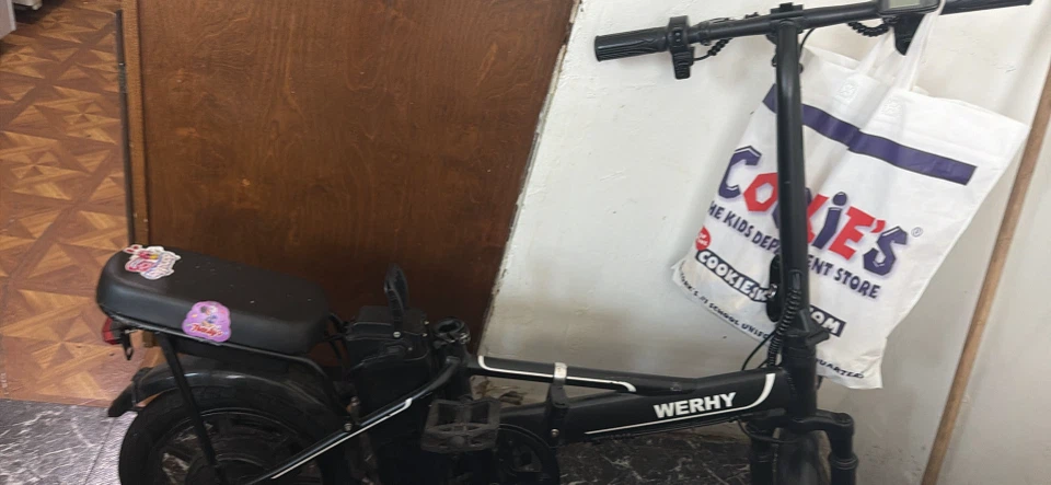 Werhy Electric Folding Bike