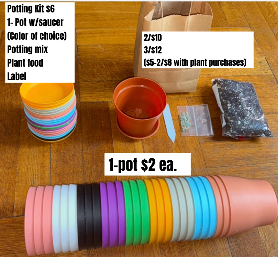 DIY Plant Potting Kit