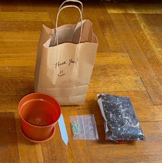DIY Plant Potting Kit - photo 2