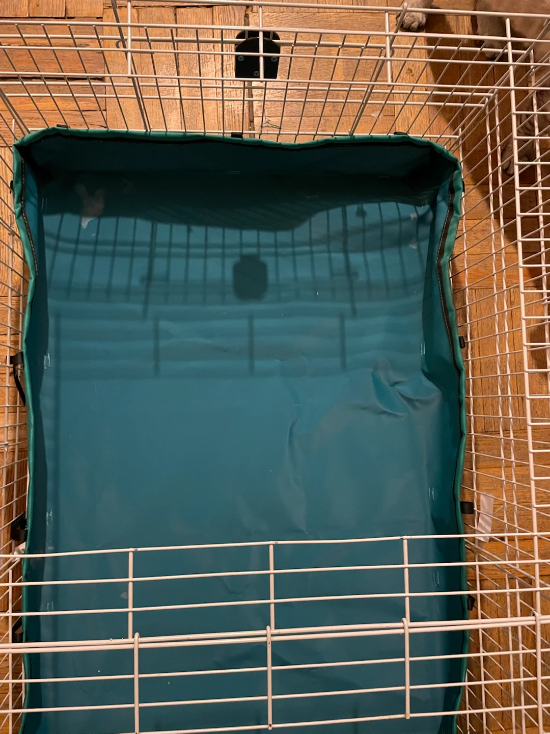 Guinea Pig Cage (47” x 24”) - photo 3