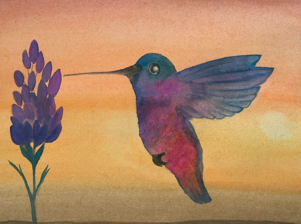 Original Watercolour Painting of Hummingbird