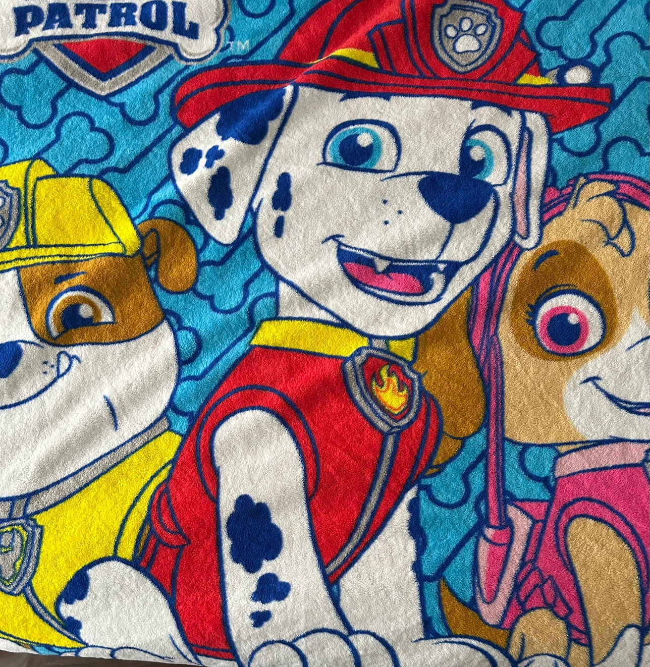 Paw Patrol Character Blanket
