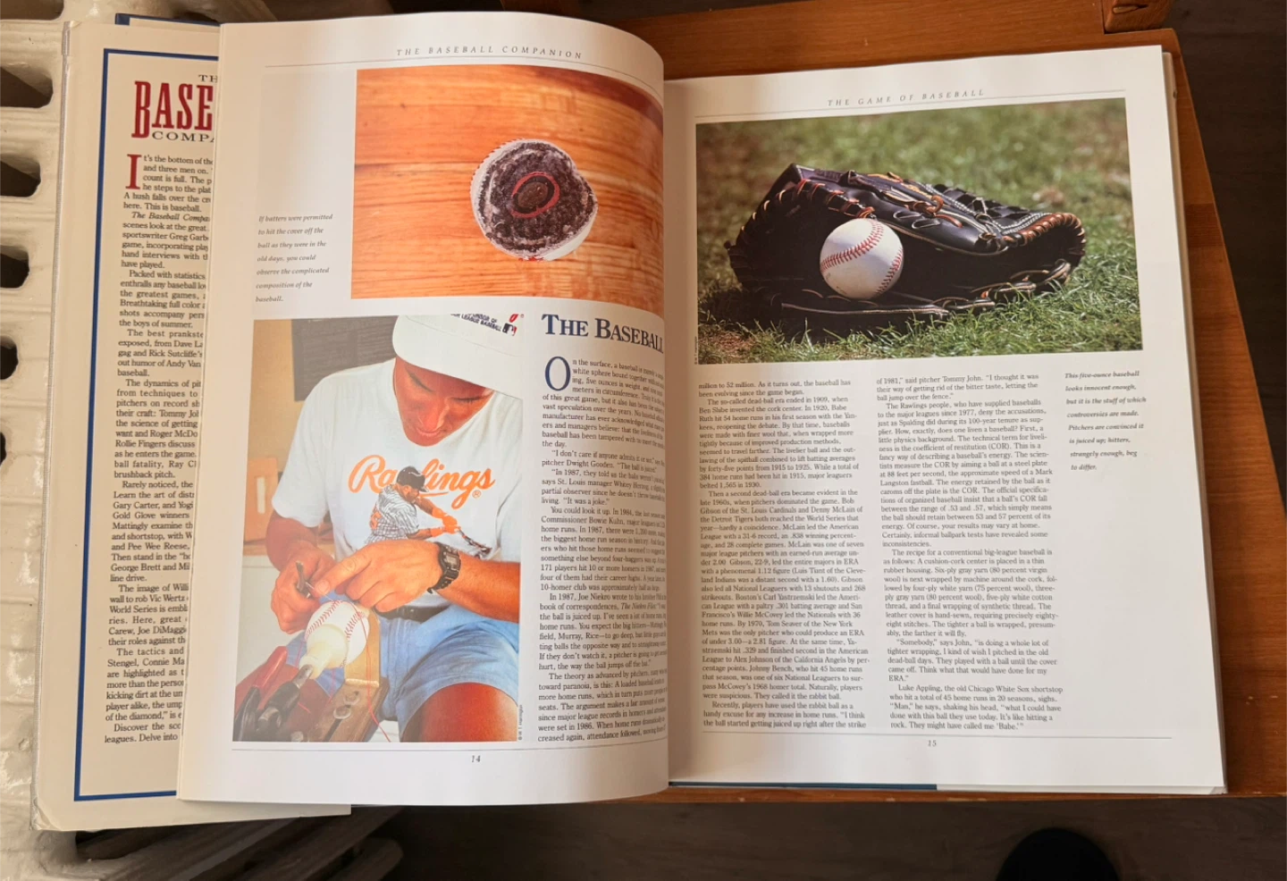 The Baseball Companion by Angus G. Garber III - photo 4