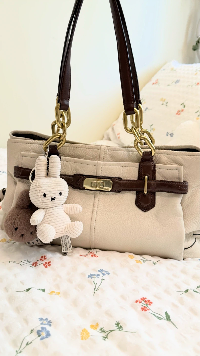 Coach Leather Handbag