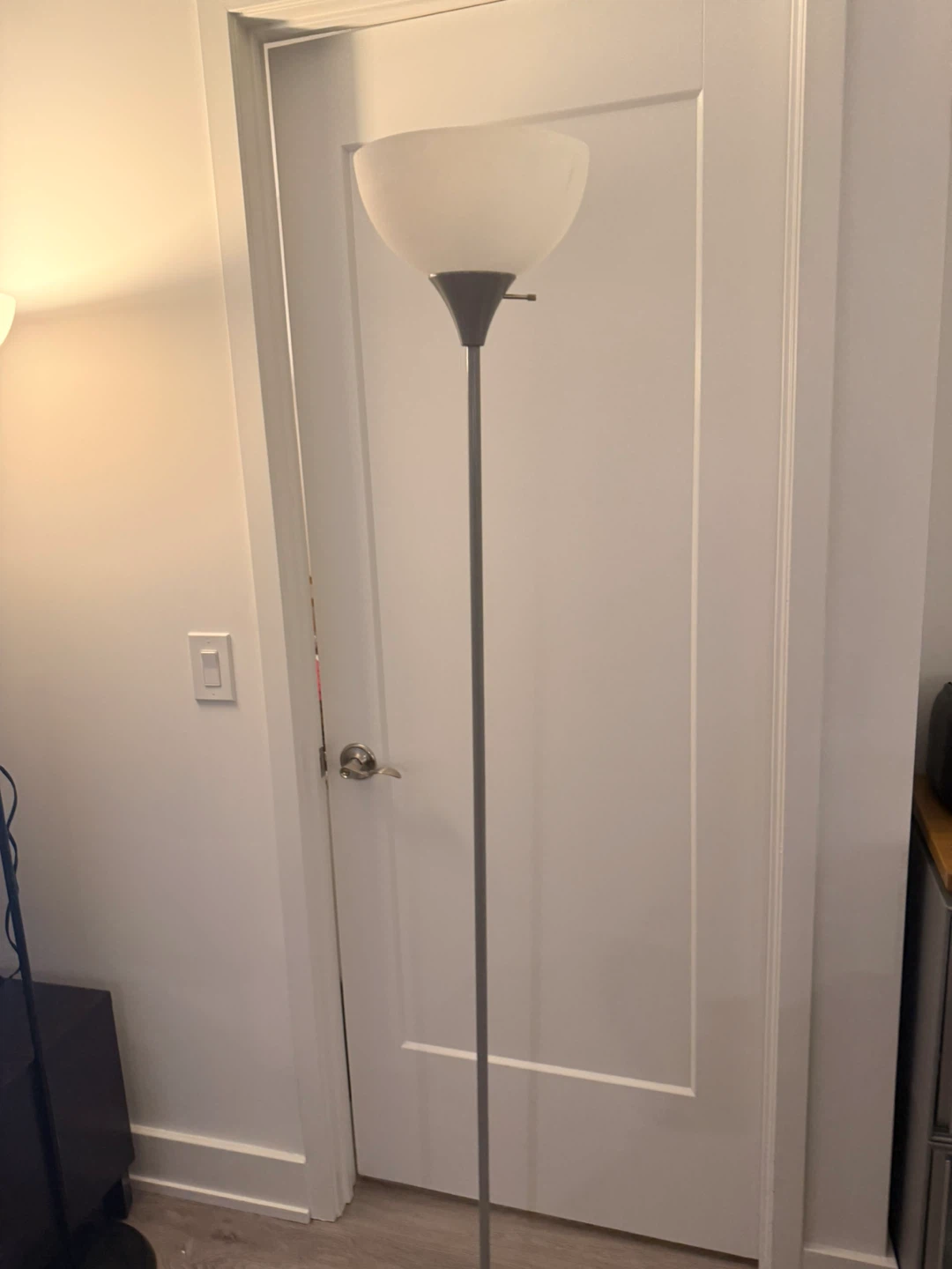 Silver Floor Lamp(including bulb) - photo 2