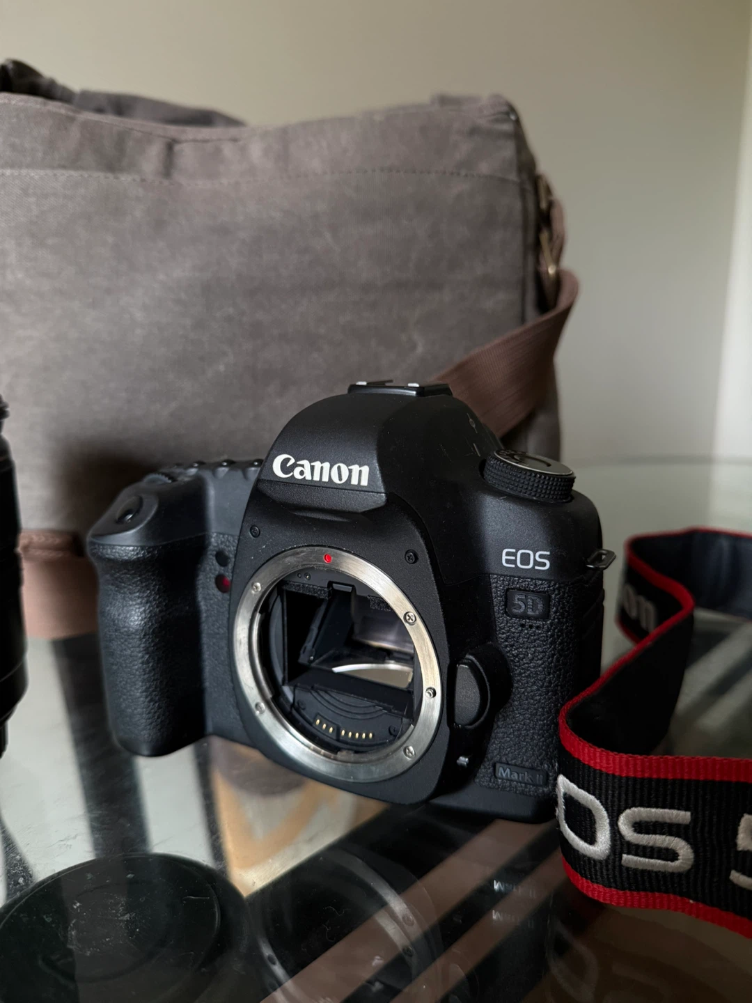 Canon EOS 5D Mark II with lenses and bag - photo 3