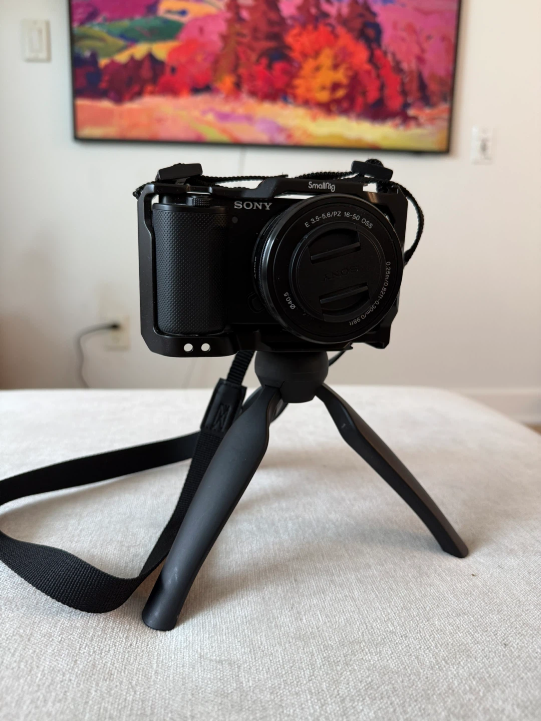 Sony A - photo 2