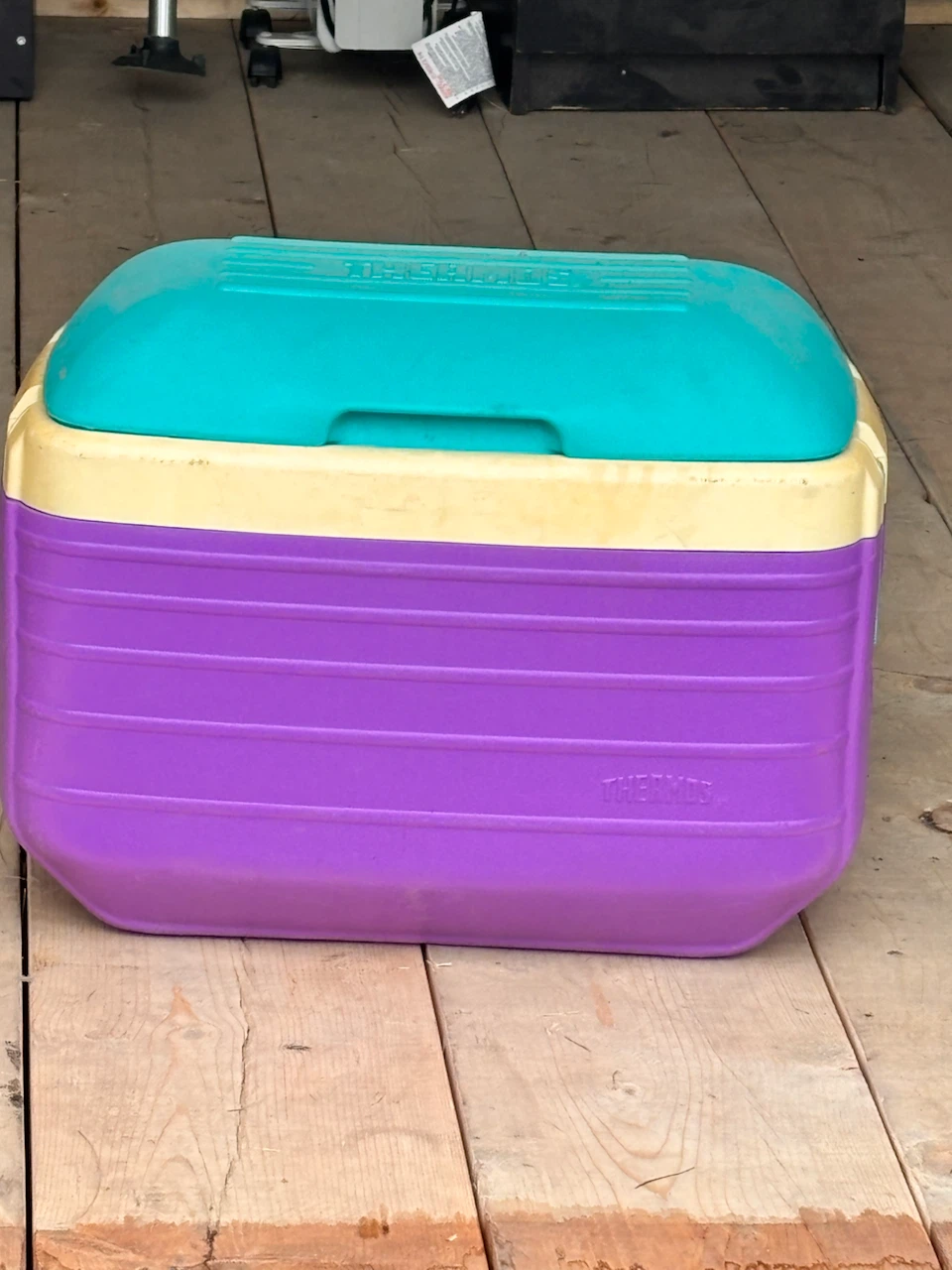 Thermos cooler in purple and teal
