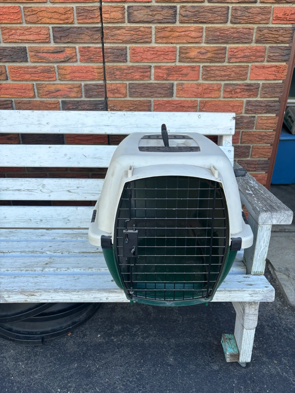 Pet Carrier - photo 2